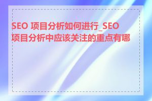 SEO 项目分析如何进行_SEO 项目分析中应该关注的重点有哪些