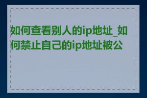 如何查看别人的ip地址_如何禁止自己的ip地址被公开