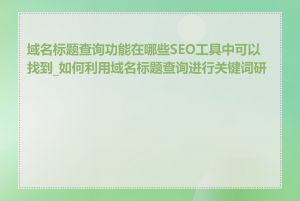 域名标题查询功能在哪些SEO工具中可以找到_如何利用域名标题查询进行关键词研究