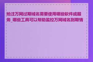 抢注万网过期域名需要使用哪些软件或服务_哪些工具可以帮助监控万网域名到期情况