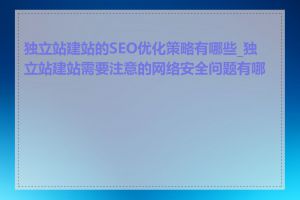 独立站建站的SEO优化策略有哪些_独立站建站需要注意的网络安全问题有哪些