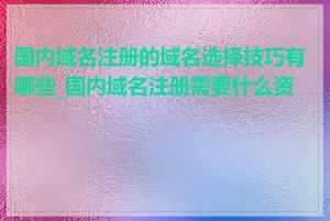 国内域名注册的域名选择技巧有哪些_国内域名注册需要什么资料