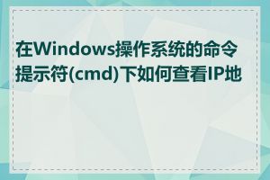 在Windows操作系统的命令提示符(cmd)下如何查看IP地址