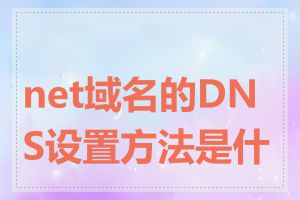 net域名的DNS设置方法是什么