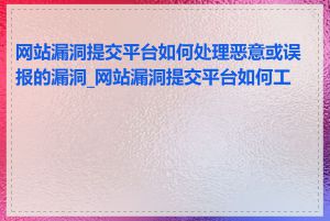 网站漏洞提交平台如何处理恶意或误报的漏洞_网站漏洞提交平台如何工作