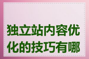 独立站内容优化的技巧有哪些