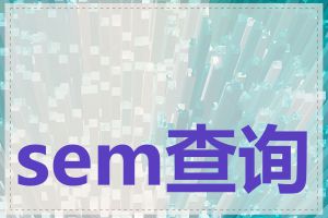 sem查询网站怎么做