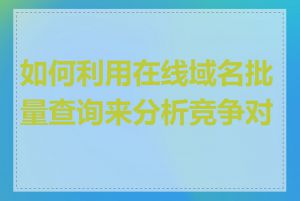 如何利用在线域名批量查询来分析竞争对手