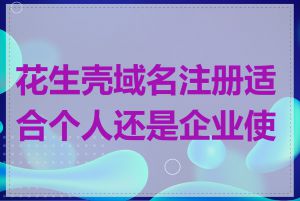 花生壳域名注册适合个人还是企业使用