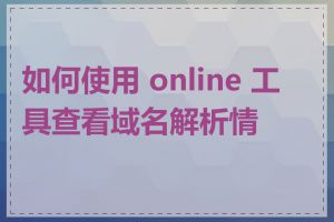 如何使用 online 工具查看域名解析情况