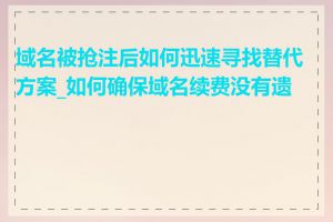 域名被抢注后如何迅速寻找替代方案_如何确保域名续费没有遗漏