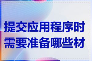 提交应用程序时需要准备哪些材料