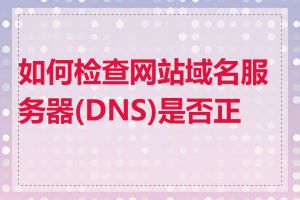 如何检查网站域名服务器(DNS)是否正常