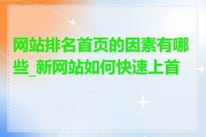 网站排名首页的因素有哪些_新网站如何快速上首页