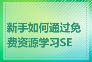 新手如何通过免费资源学习SEO