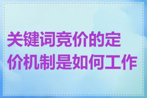 关键词竞价的定价机制是如何工作的