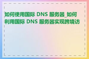 如何使用国际 DNS 服务器_如何利用国际 DNS 服务器实现跨境访问