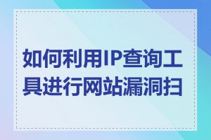 如何利用IP查询工具进行网站漏洞扫描