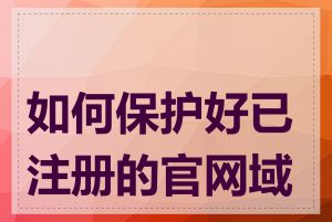 如何保护好已注册的官网域名