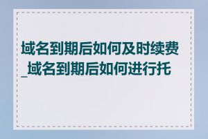 域名到期后如何及时续费_域名到期后如何进行托管