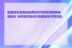 批量域名查询的结果如何与其他营销策略相结合_如何高效地进行批量域名可用性查询