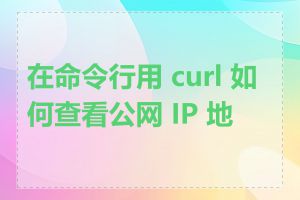 在命令行用 curl 如何查看公网 IP 地址