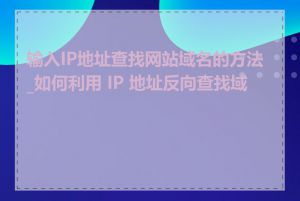 输入IP地址查找网站域名的方法_如何利用 IP 地址反向查找域名