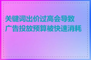 关键词出价过高会导致广告投放预算被快速消耗吗