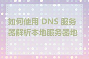 如何使用 DNS 服务器解析本地服务器地址