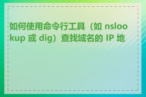 如何使用命令行工具（如 nslookup 或 dig）查找域名的 IP 地址