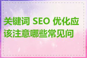 关键词 SEO 优化应该注意哪些常见问题