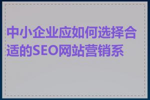 中小企业应如何选择合适的SEO网站营销系统