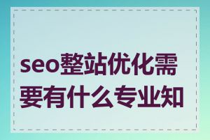 seo整站优化需要有什么专业知识