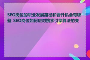 SEO岗位的职业发展路径和晋升机会有哪些_SEO岗位如何应对搜索引擎算法的变化