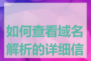 如何查看域名解析的详细信息