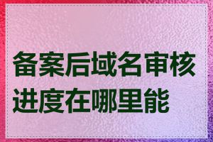 备案后域名审核进度在哪里能查