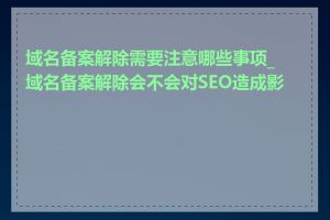 域名备案解除需要注意哪些事项_域名备案解除会不会对SEO造成影响