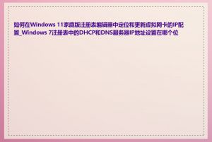 如何在Windows 11家庭版注册表编辑器中定位和更新虚拟网卡的IP配置_Windows 7注册表中的DHCP和DNS服务器IP地址设置在哪个位置