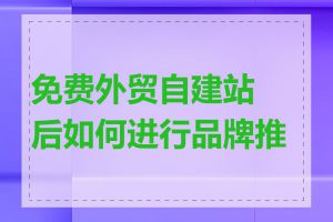 免费外贸自建站后如何进行品牌推广