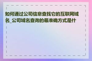 如何通过公司信息查找它的互联网域名_公司域名查询的最准确方式是什么