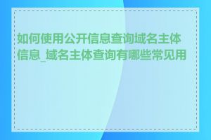 如何使用公开信息查询域名主体信息_域名主体查询有哪些常见用途