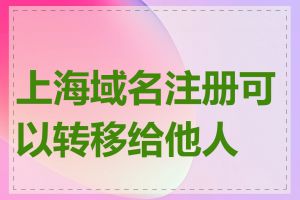 上海域名注册可以转移给他人吗