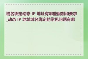 域名绑定动态 IP 地址有哪些限制和要求_动态 IP 地址域名绑定的常见问题有哪些