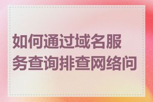 如何通过域名服务查询排查网络问题