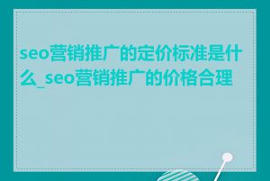 seo营销推广的定价标准是什么_seo营销推广的价格合理吗