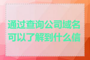 通过查询公司域名可以了解到什么信息