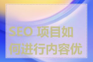 SEO 项目如何进行内容优化