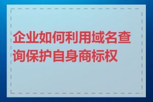 企业如何利用域名查询保护自身商标权益