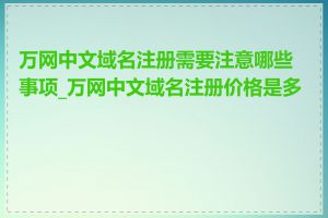 万网中文域名注册需要注意哪些事项_万网中文域名注册价格是多少