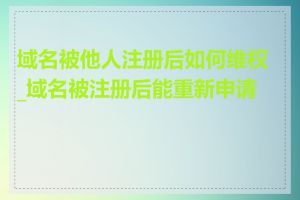 域名被他人注册后如何维权_域名被注册后能重新申请吗